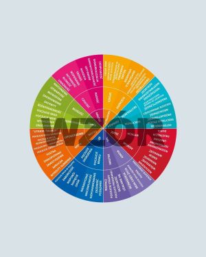 Koło emocji wg Hawkinsa - Narzędzie terapeutyczne