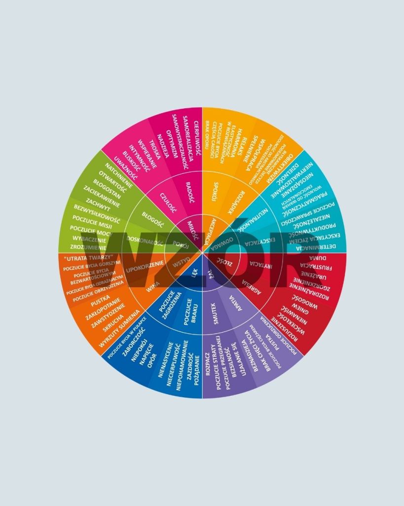 Koło emocji wg Hawkinsa - Narzędzie terapeutyczne